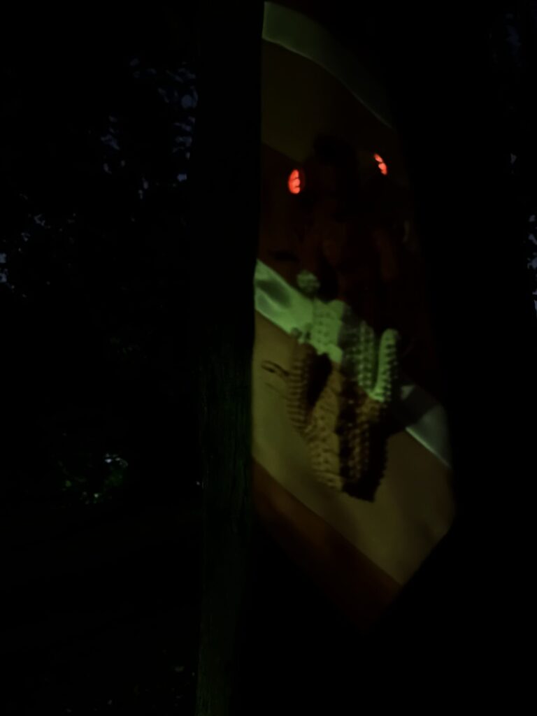 【tricolor striped tie dragon】 
(サンショクシマモヨウネクタイモドキ) 
2023

Vintage fabric, putty, resin, acrylic paint

Rin Northwind
リン ノースウィンド