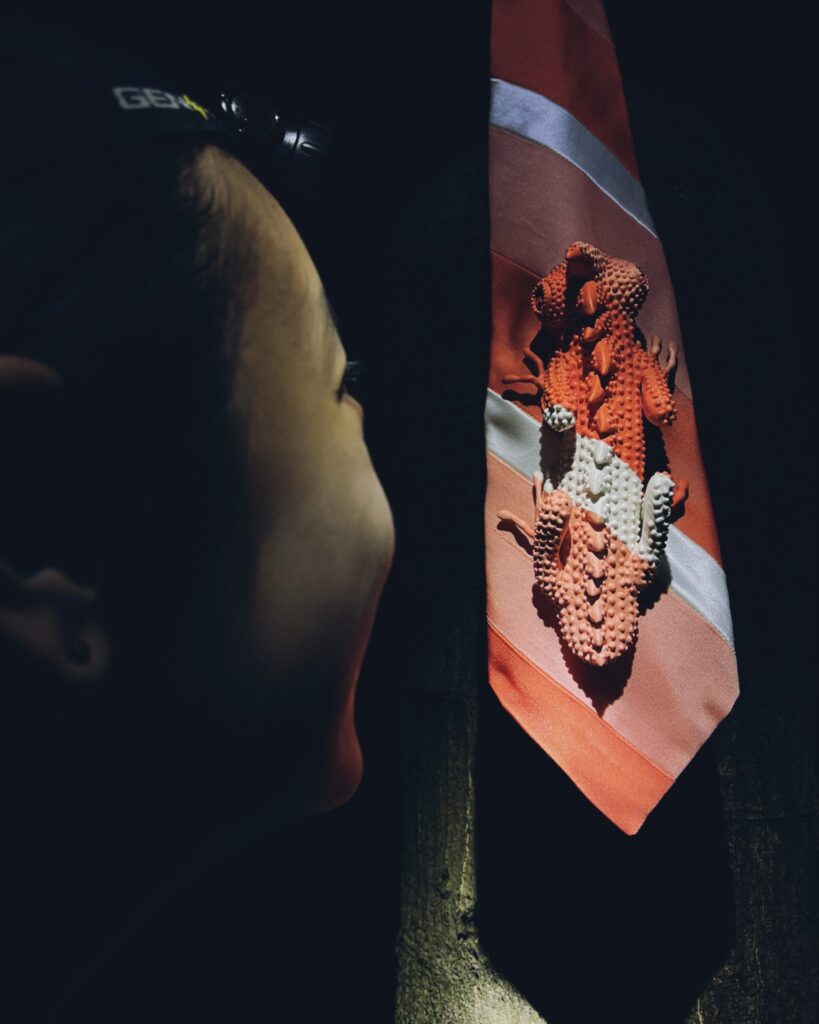 【tricolor striped tie dragon】 
(サンショクシマモヨウネクタイモドキ) 
2023

Vintage fabric, putty, resin, acrylic paint

Rin Northwind
リン ノースウィンド